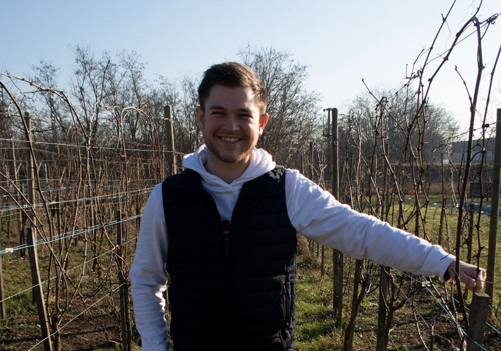 Lucas Galimand, assistant ingénieur INRAE en agroécologie et recherche participative